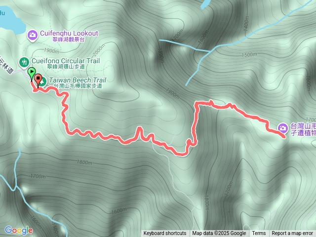 太平山山毛櫸步道