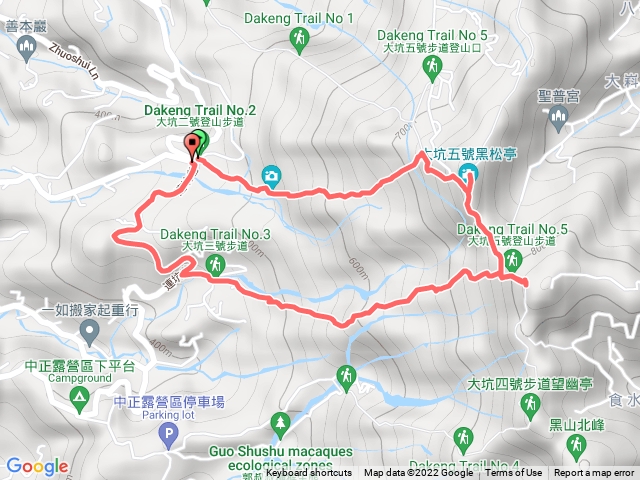 大坑2上5 3下