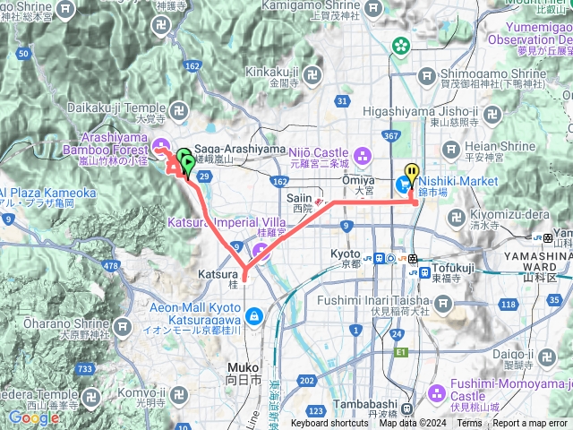 嵐山(度月橋-天龍寺-竹林小徑-常寂
