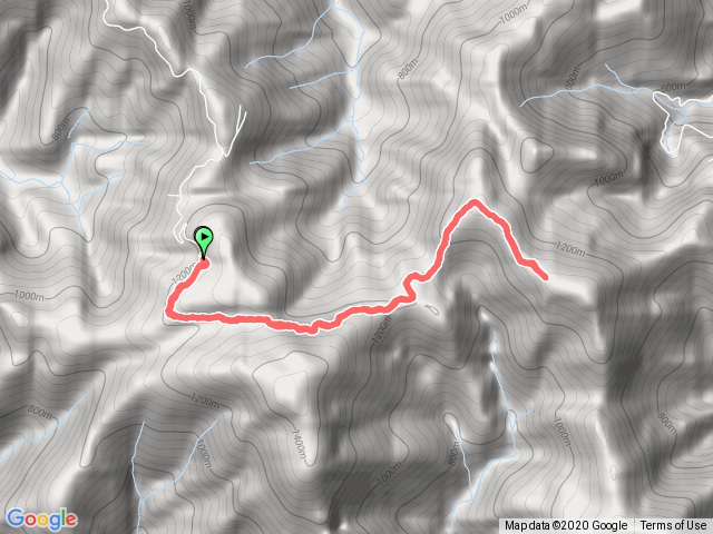 2020-11-22 1135 大白山 (未登頂)