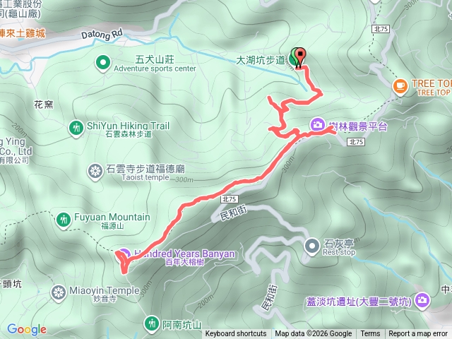 大湖坑山-石灰坑山-百年大榕樹🍒預覽圖