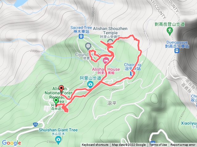 阿里山森林公園 姐妹潭 神木群步道20220310 6K