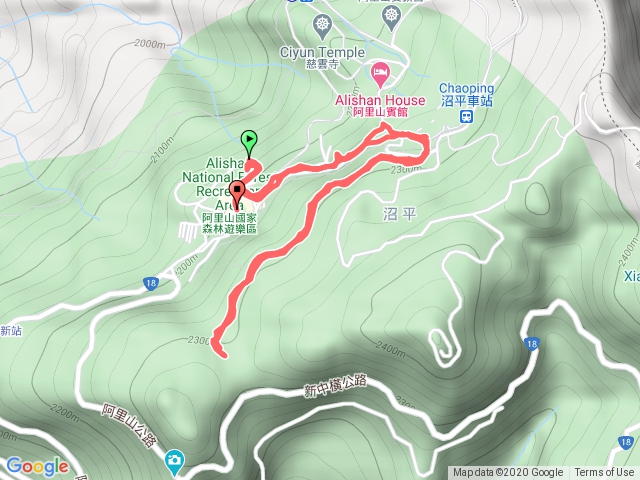 109.10.9水山巨木