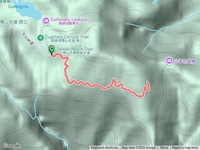 山毛櫸步道2.5k預覽圖