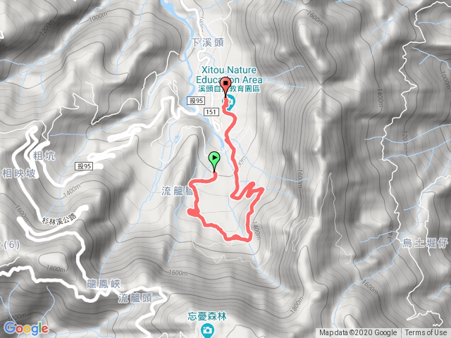 溪頭森林遊樂區