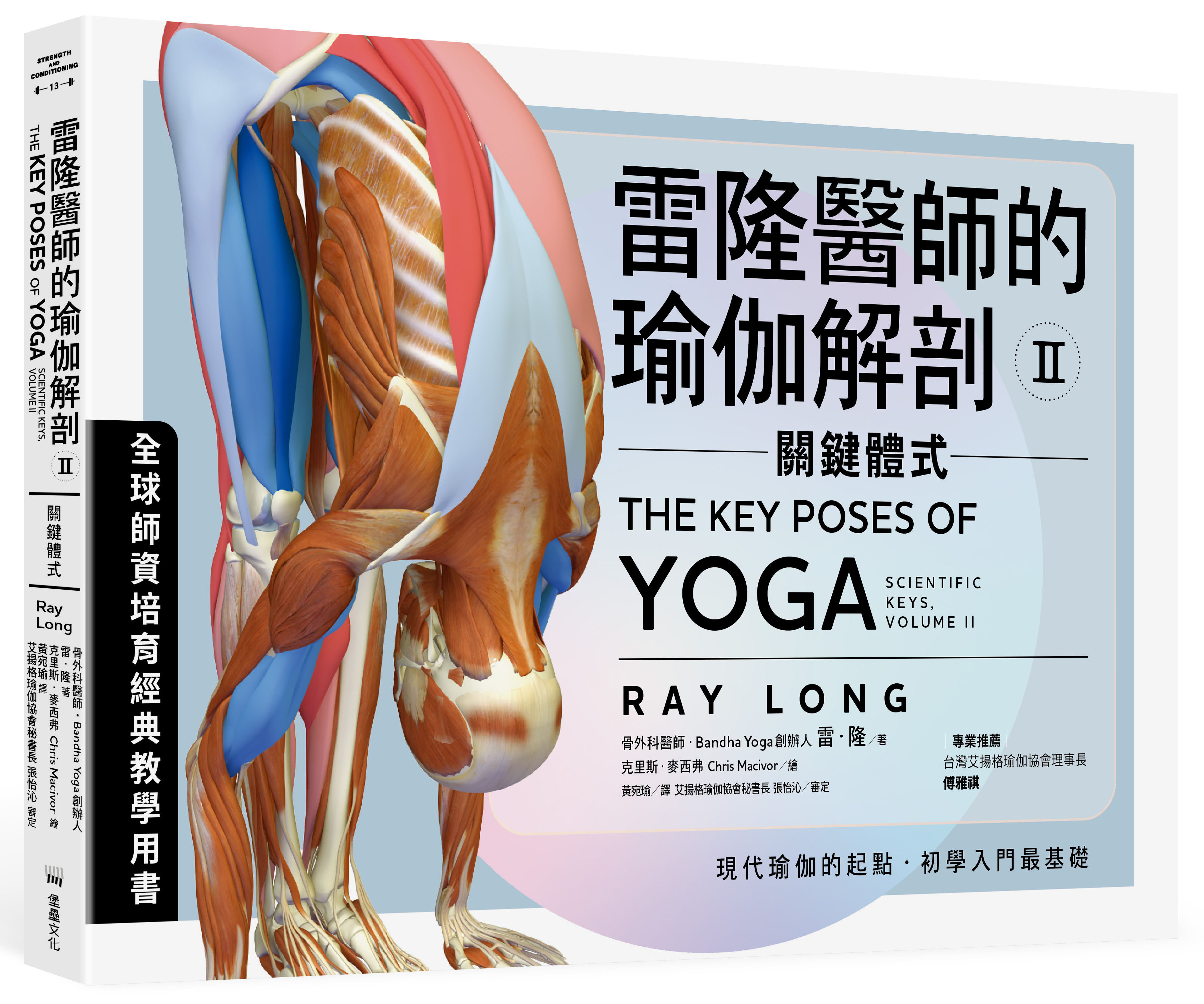 【書摘】瑜珈初學者必讀《雷隆醫師的瑜伽解剖Ⅱ：關鍵體式》認識體式形成過程背後的機制 正確運用關鍵肌群