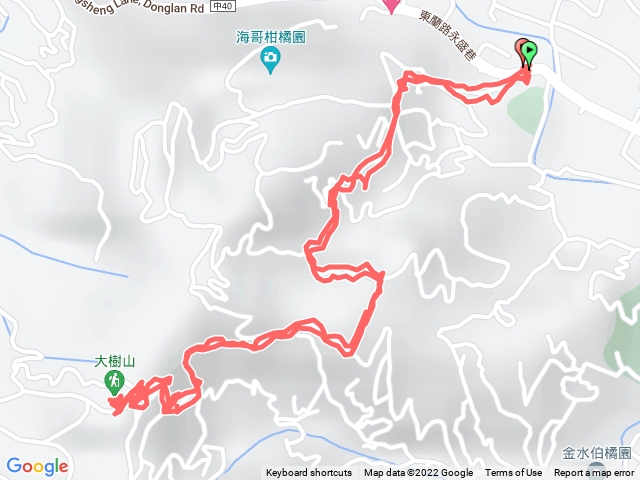 台中/東勢/大樹山