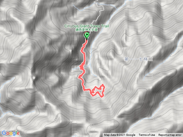鎮西堡B區巨木群