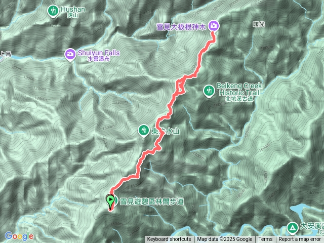 雪見大板根預覽圖