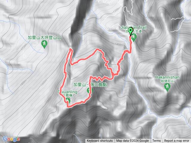 加里山，鹿場上杜鵑嶺下P型