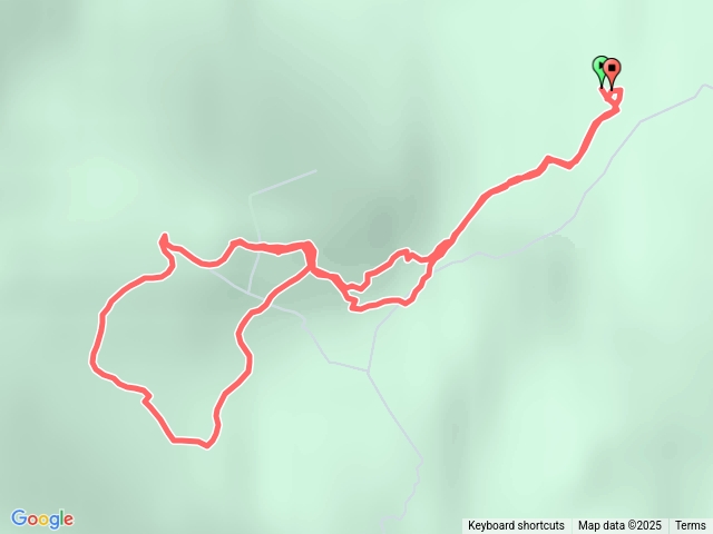 新疆賽里木湖松樹頭山