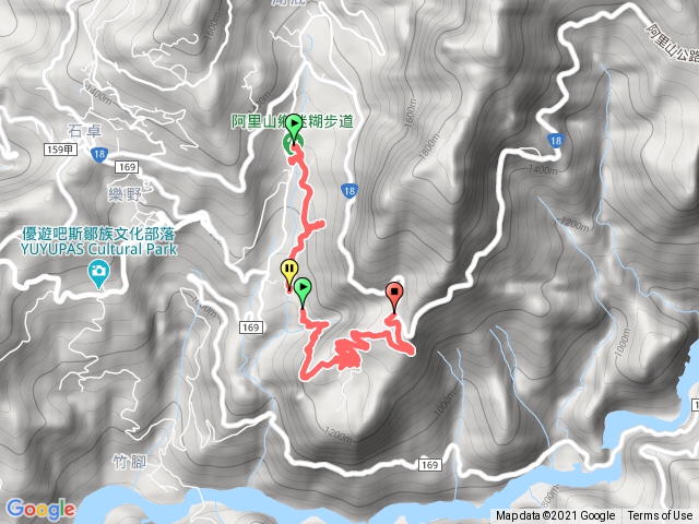 20210221阿里山迷糊步道