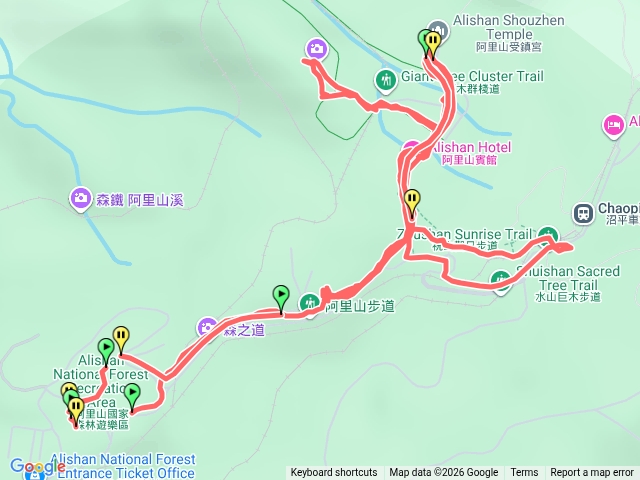 2026.4.4阿里山國家遊樂森林公園預覽圖