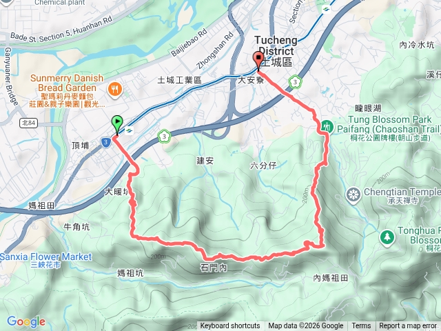 土城大暖尖山＆火焰山步道訪血藤花