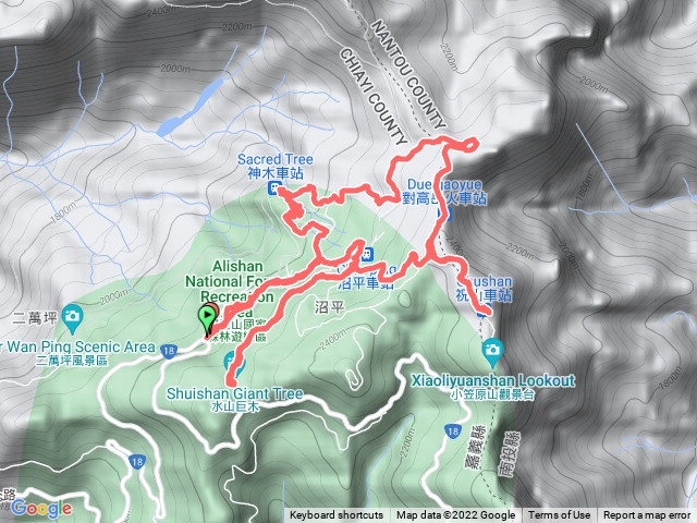 漫步在阿里山步道群