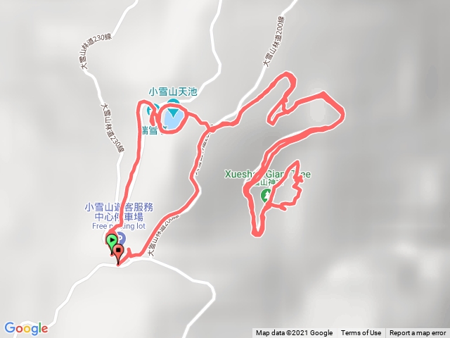 小雪山天池神木步道O型(2021.04.03金牌)