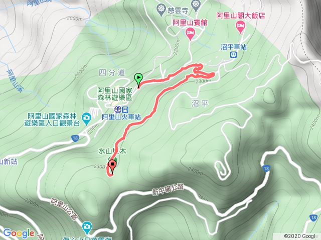 阿里山水山巨木