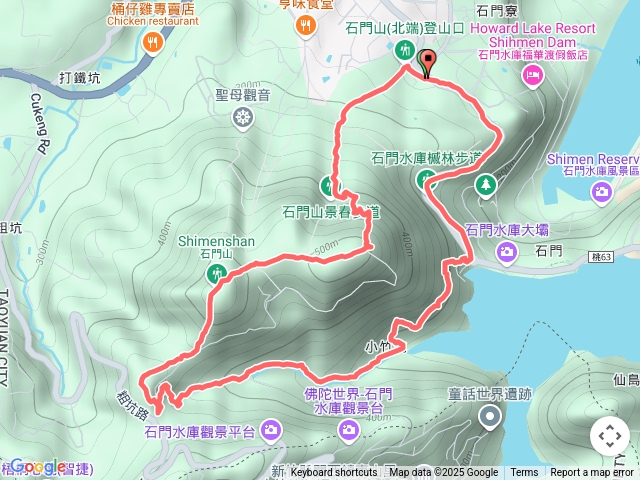 石門桐花