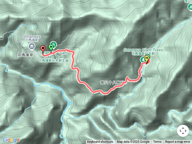 司馬庫斯巨木群登山步道