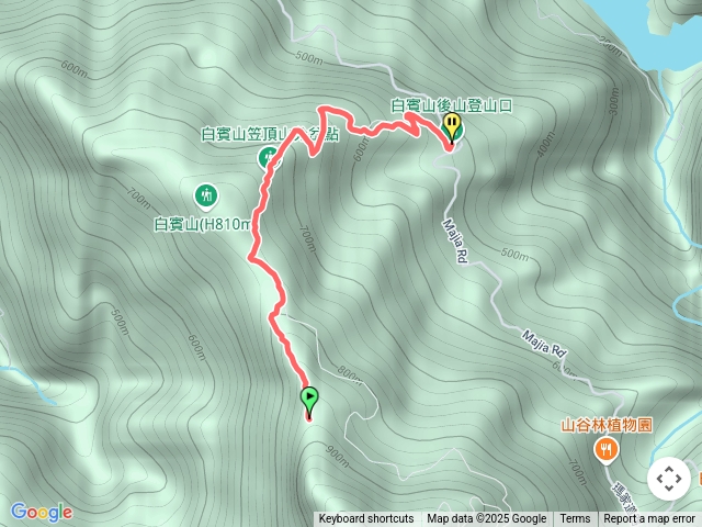 白賓山白賓名樹