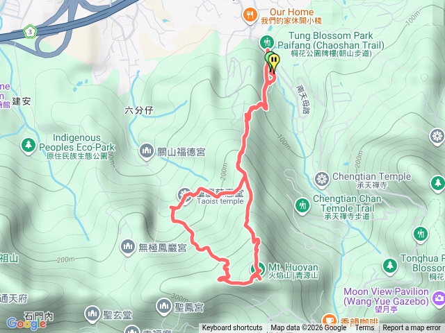 火焰山血藤開預覽圖