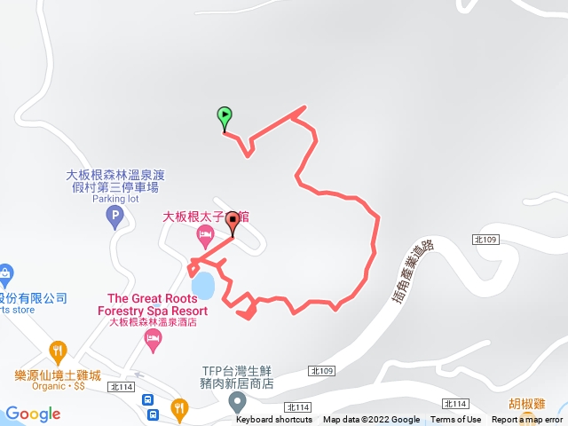1100215大板根1