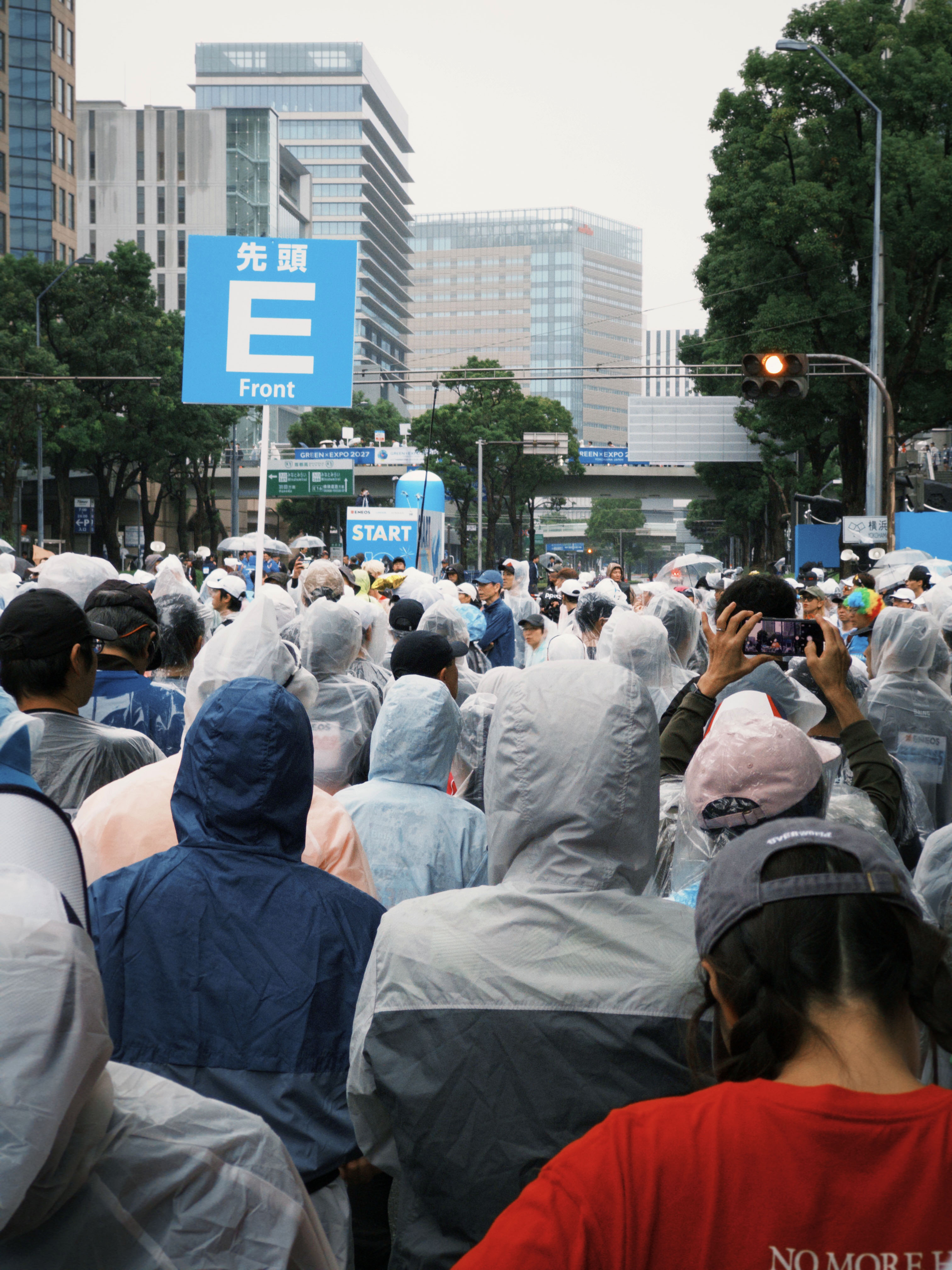 d7fa6067cb79faf867077e4268e9de07a8f15eda80c50adb0e71943adc8015cf.JPG