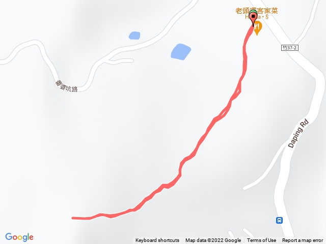大分林山