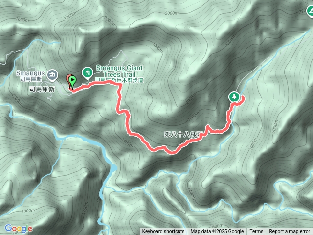 司馬庫斯巨木群預覽圖