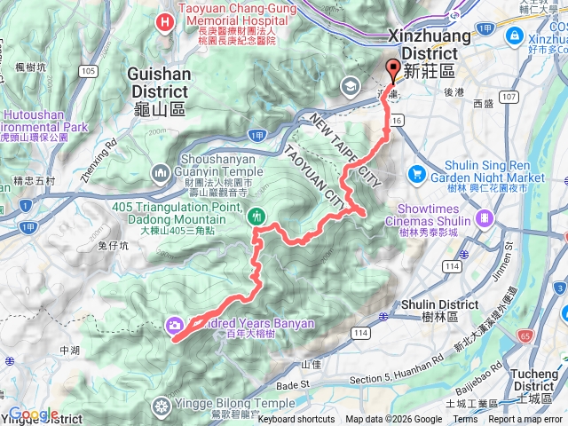 迴龍捷運站大棟山百齡老榕樹來回