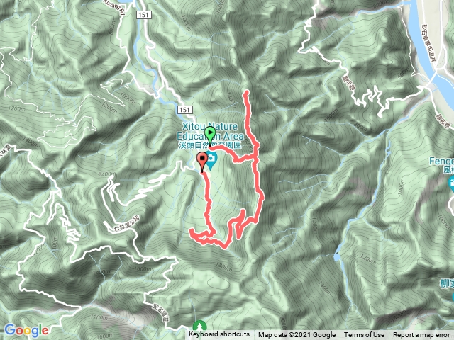 溪頭鳳凰山