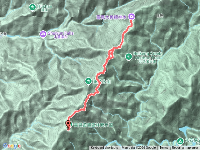 雪見司馬限林道北坑山大板根