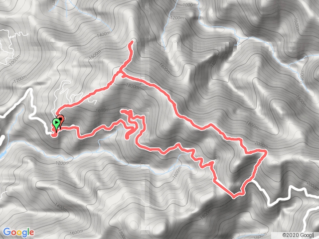 大雪山林道19.8k上, 大棟山, 鳶嘴西稜, 鳶嘴山O縱
