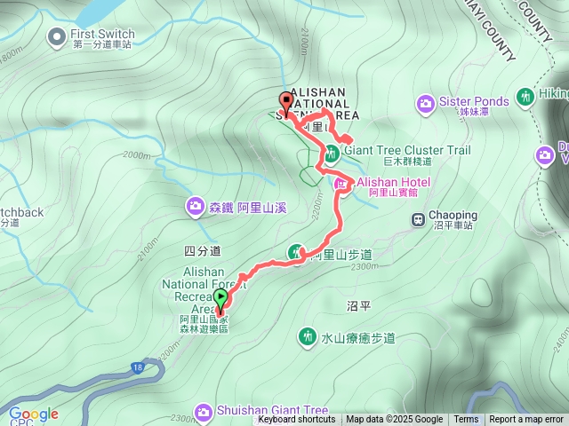 阿里山國家森林遊樂區巨木群步道預覽圖