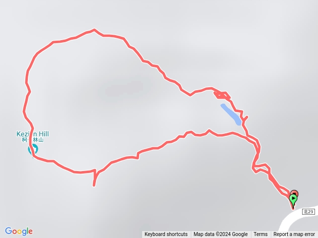 20240316金明山柯子林O型