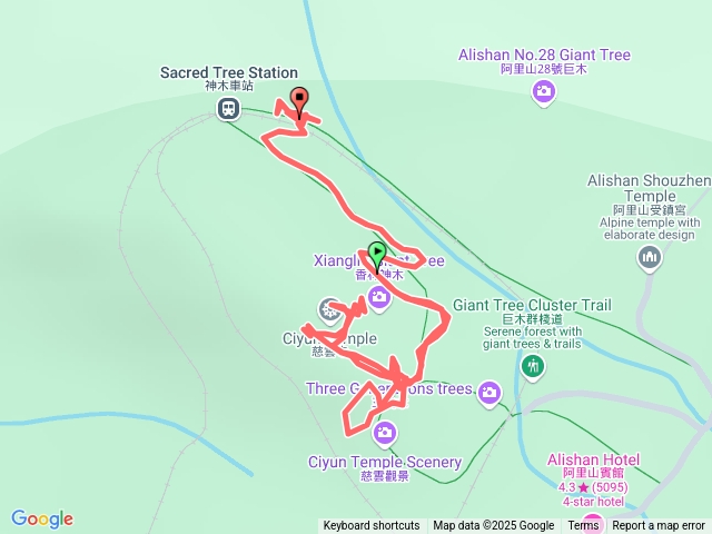 2025125阿里山巨木群棧道