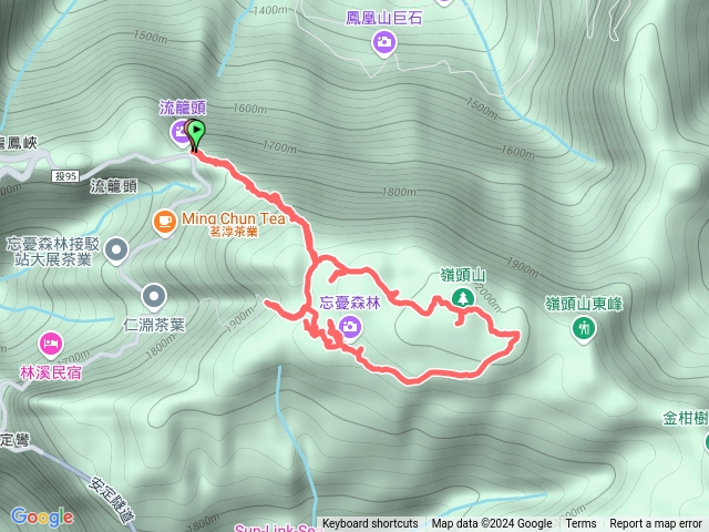 南投鹿谷嶺頭山.忘憂森林20240825預覽圖