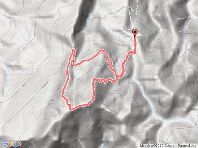 201017加里山-杜鵑嶺-鹿場登山口進出