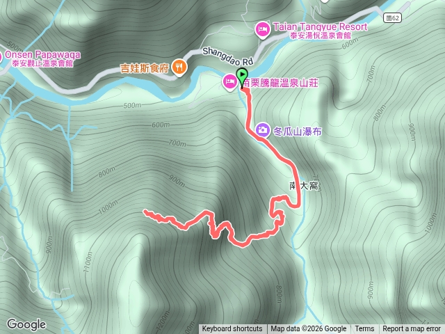 冬瓜山千年櫸木海拔1108M