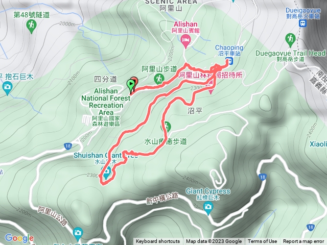阿里山水山巨木