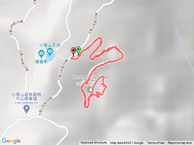 大雪山神木步道