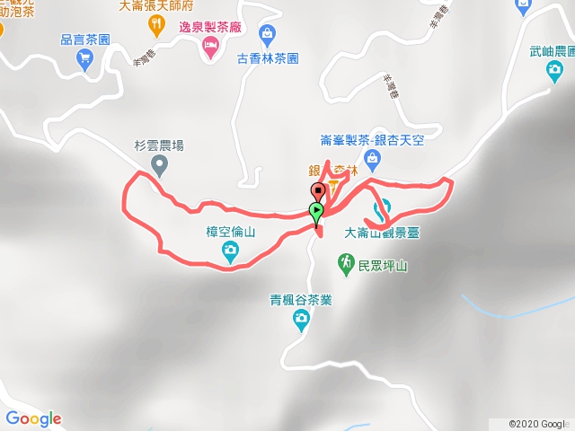 191103樟空崙貓冬望山