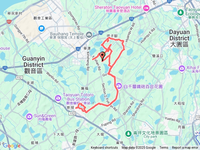 白千層環塔腳
