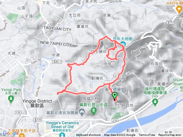 鶯歌百年大榕樹巡禮