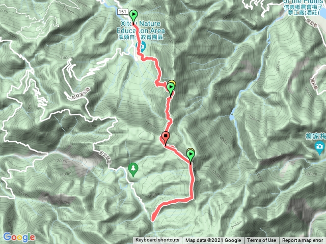 米堤連走天文台金柑樹杉林溪來回