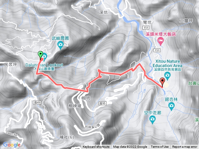 20221111-銀杏森林之旅