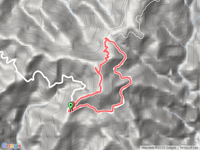 稍來南上稍來下收費亭小O