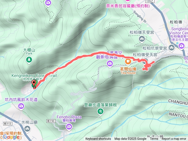 坑內坑新年行