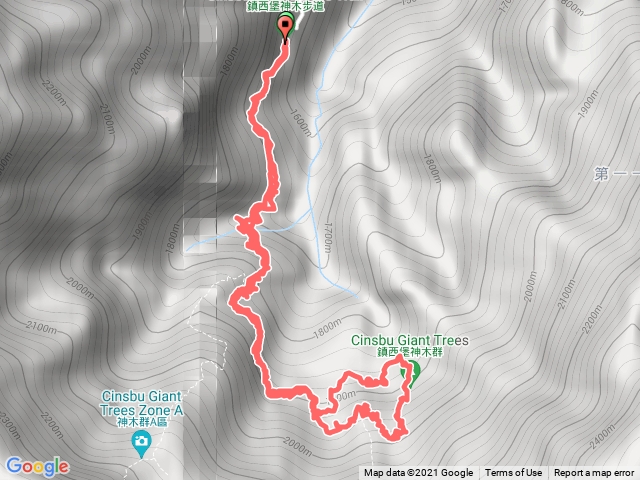 鎮西堡檜木群（B線）