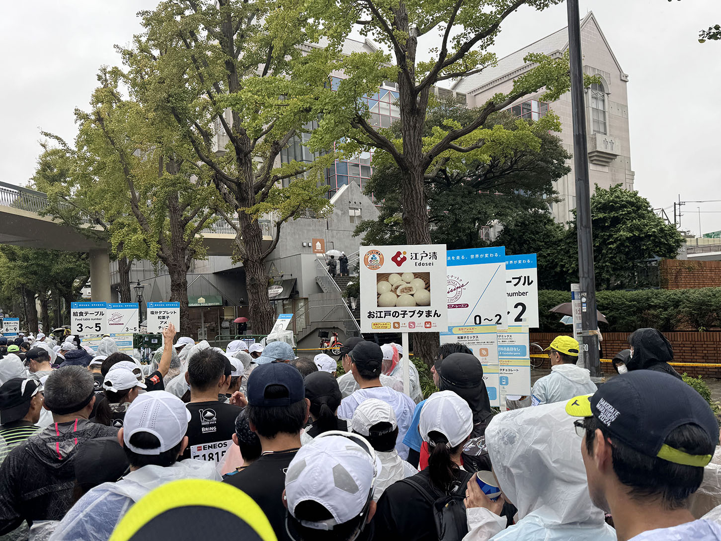 e227dea426f1f00a79767adca79daebe2723d092b63885e0d7c260cc007e8b9d.JPG
